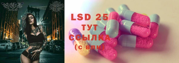 дживик Баксан