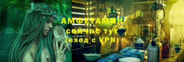 ПСИЛОЦИБИНОВЫЕ ГРИБЫ Балахна