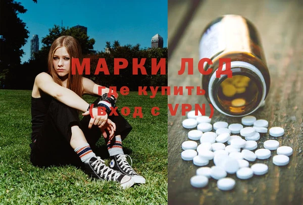 ПСИЛОЦИБИНОВЫЕ ГРИБЫ Балахна